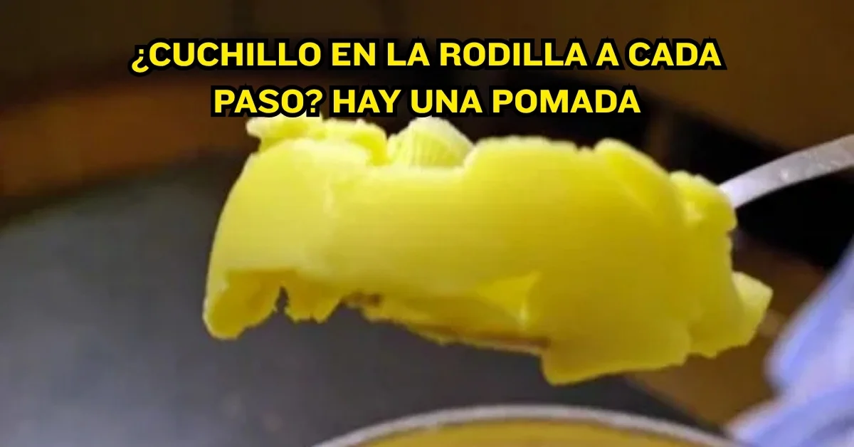 Estiramientos y movilidad